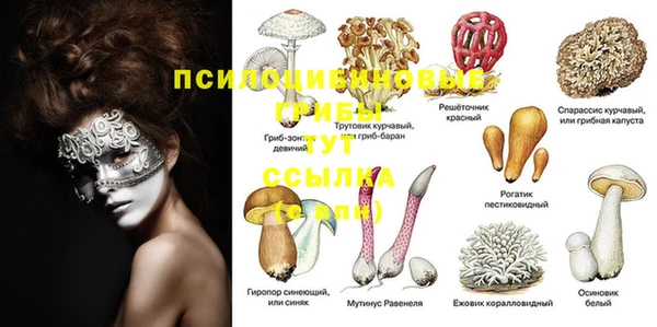 прущая мука Козельск